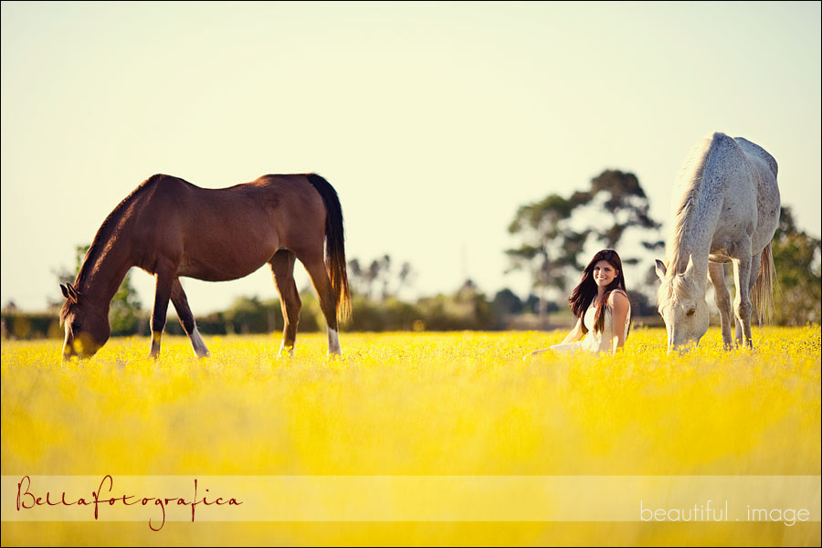 pretty girl sitting in field of yellow flowers with two horses