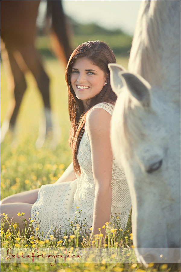 pretty girl sitting in field with horses