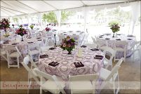 Posts Tagged Outdoor Backyard Tent Wedding Reception Archives