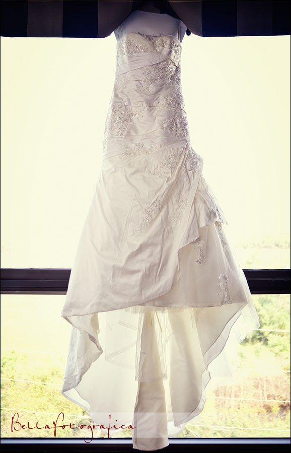 wedding bridal dress