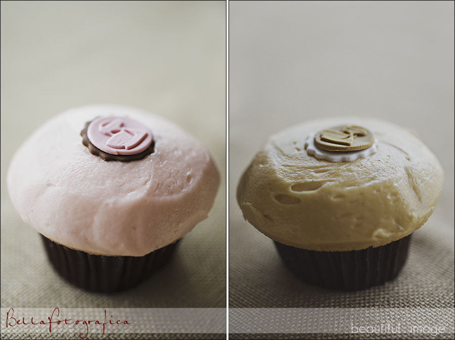 crave cupcakes strawberry and dulce de leches
