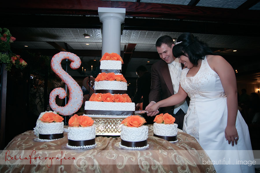 bride and groom cut the cake