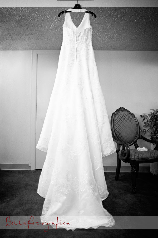 brides wedding gown