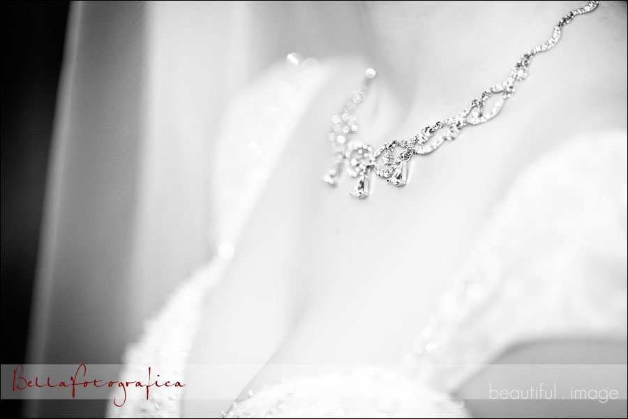 bride sparkling necklace