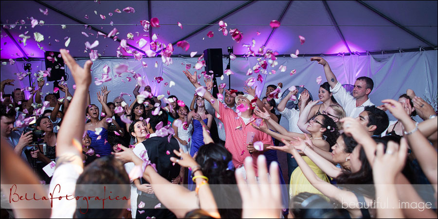 bride and groom being showered with rose petals at their wedding reception