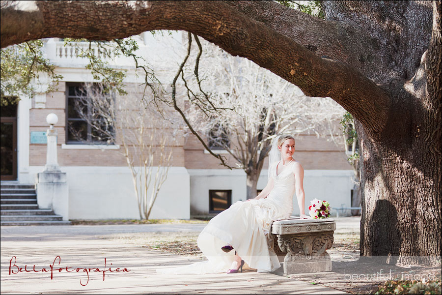 texas a&m century oak tree bridal photos