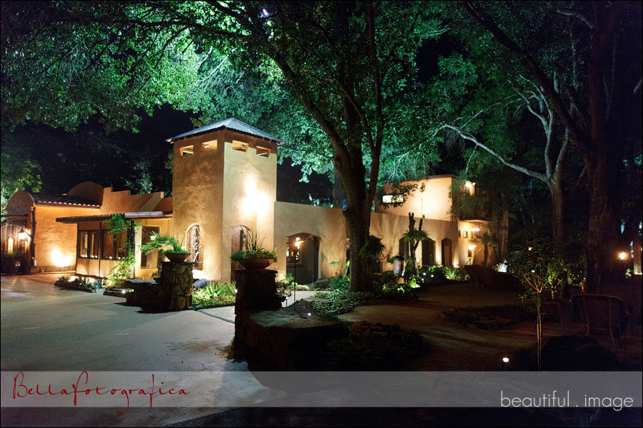 agave road wedding in houston