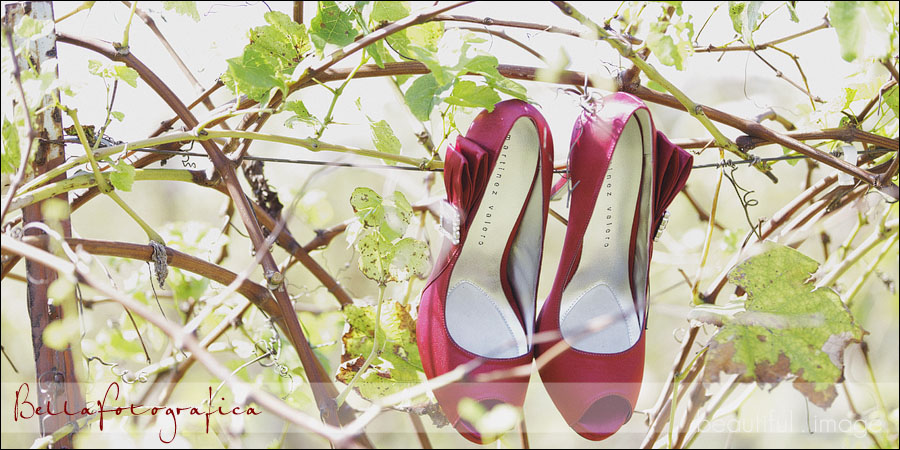 red bridal shoes hanging on a vine