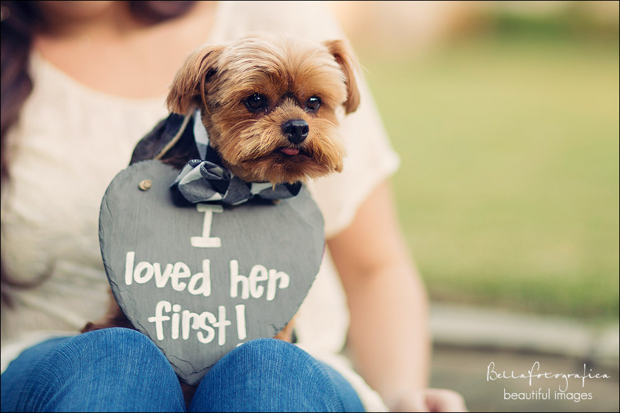 Beaumont engagement photos with puppy